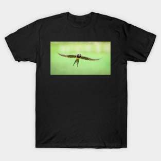 Swallow in Flight T-Shirt